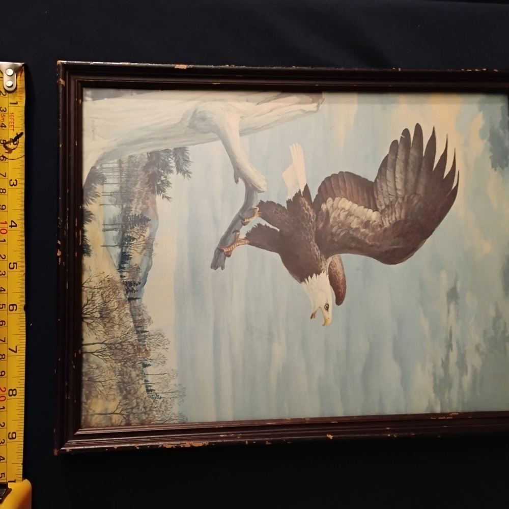 Vintage Bald Eagle Print - Picture 4 of 5